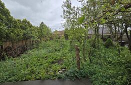 Casa de 3 camere, gradina spatioasa, in Apahida zona centrala