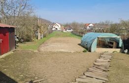 Casa individuala cu 2 camere, pivnita si anexe, 1000 mp de teren, Gilau