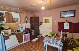 Casa individuala cu 2 camere, pivnita si anexe, 1000 mp de teren, Gilau