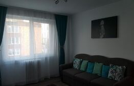 Apartament 2 camere decomandat zona grivitei 4