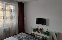 Apartament 2 camere decomandat zona grivitei 4