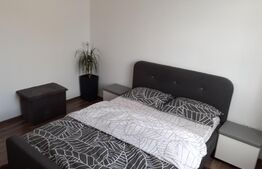 Apartament 2 camere decomandat zona grivitei 4