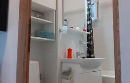 Apartament 2 camere decomandat zona grivitei 4