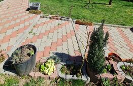 Casa individuala cu 6 camere, 249 mp, 1300 mp de teren, zona Tauti