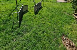 Casa individuala cu 6 camere, 249 mp, 1300 mp de teren, zona Tauti