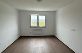 Garsoniera 21  mp ,  recent  renovata 