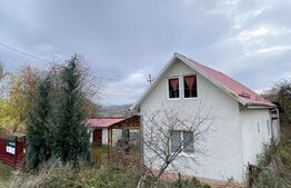 Casă cu 1400 mp teren în Sărădiș, sat Valcele