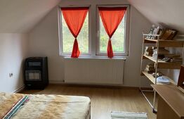 Casă cu 1400 mp teren în Sărădiș, sat Valcele