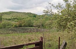 Casă cu 1400 mp teren în Sărădiș, sat Valcele