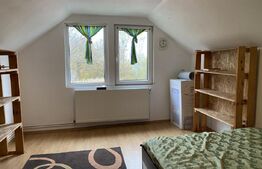 Casă cu 1400 mp teren în Sărădiș, sat Valcele