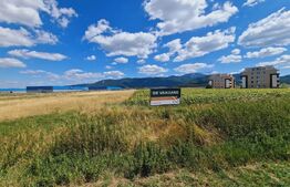 Teren- Oportunitate investitie 2923MP