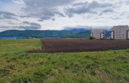 Teren- Oportunitate investitie 2923MP