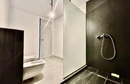 Apartament 4 camere 2 bai, 120mp, terasa 70mp, etaj intermediar zona Vivo