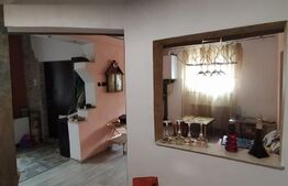 2 camere, 62 mp, terasa, curte comuna, zona Traian