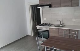 Apartament de 2 camere la casa cu beci și mansardă