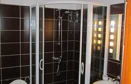 5 camere, 110 mp, 2 nivele, zona strazii Nicolae Titulescu