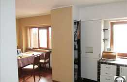 5 camere, 110 mp, 2 nivele, zona strazii Nicolae Titulescu