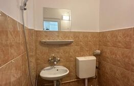 Garsoniera 21  mp ,  recent  renovata, Expo Transilvania 