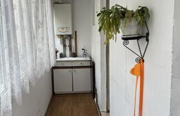 Apartament cu 3 camere, negociabil, zona Noua 