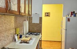 Apartament cu 3 camere, negociabil, zona Noua 