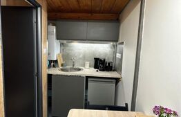 Investitie  la  cheie , garsoniera situata  ultracentral 