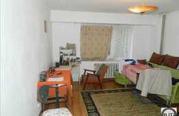 1 camera, 50 mp ultili, parter, zona strazii Nicolae Titulescu