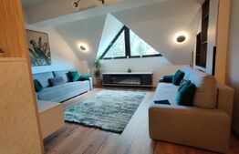 Apartament de lux cu 2 camere in Predeal