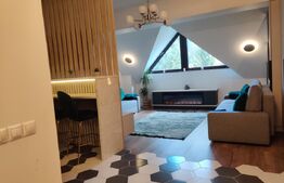 Apartament de lux cu 2 camere in Predeal