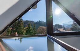 Apartament de lux cu 2 camere in Predeal