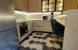 Apartament de lux cu 2 camere in Predeal