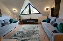 Apartament de lux cu 2 camere in Predeal