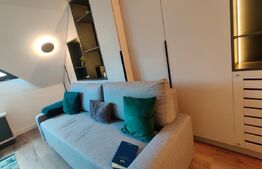 Apartament de lux cu 2 camere in Predeal