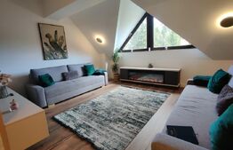 Apartament de lux cu 2 camere in Predeal