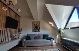 Apartament de lux cu 2 camere in Predeal