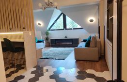 Apartament de lux cu 2 camere in Predeal