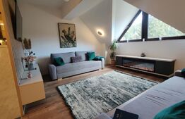 Apartament de lux cu 2 camere in Predeal