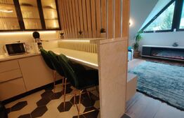 Apartament de lux cu 2 camere in Predeal