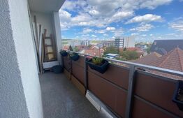 Apartament  2 camere, pet-friendly, 50 mp, zona Marasti, Piata 1 Mai