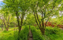 Casa individuala de vanzare in Floresti