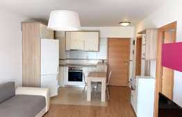 Apartament cu note de delicatete in Viva City!