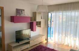 Apartament cu note de delicatete in Viva City!