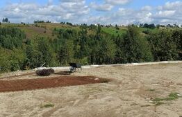 Teren și cabana de vânzare - 1900 mp  Magura 