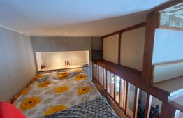 Apartament cu o camera, 37 mp, cu nisa de dormit, cartier Iris