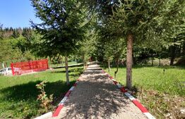 Casa de vacanta , 4 camere , 661 mp teren Dumbravita 