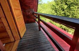 Casa de vacanta , 4 camere , 661 mp teren Dumbravita 