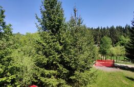 Casa de vacanta , 4 camere , 661 mp teren Dumbravita 