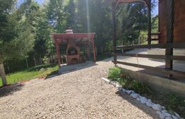 Casa de vacanta , 4 camere , 661 mp teren Dumbravita 