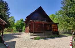 Casa de vacanta , 4 camere , 661 mp teren Dumbravita 