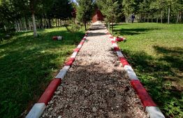 Casa de vacanta , 4 camere , 661 mp teren Dumbravita 