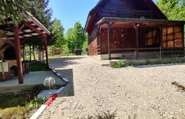 Casa de vacanta , 4 camere , 661 mp teren Dumbravita 